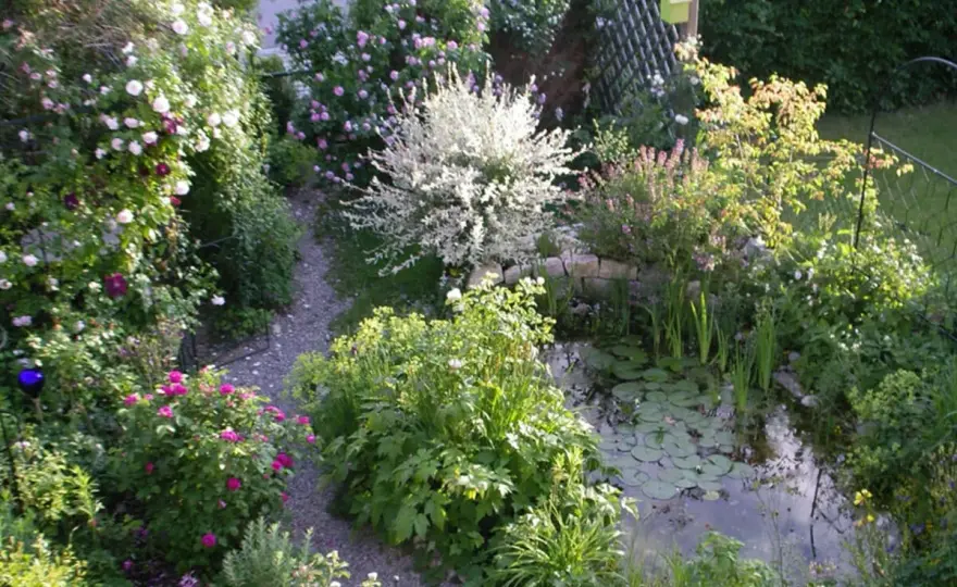Kleinen Garten gestalten - So wirkt er größer & pflegeleichter!