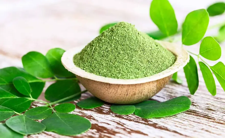 Moringa - Benefici, usi e controindicazioni: la guida completa