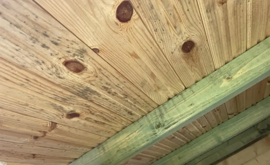 Ventilation friggebod - Undvik fukt & mögel i din lilla bod