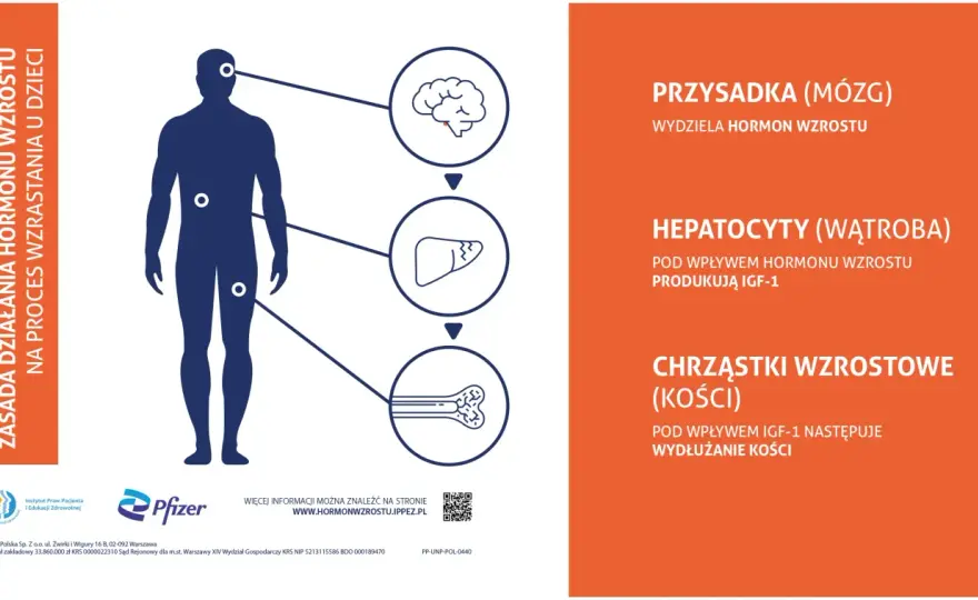 Hormon wzrostu - jak pobudzić naturalnie? Bez mitów!