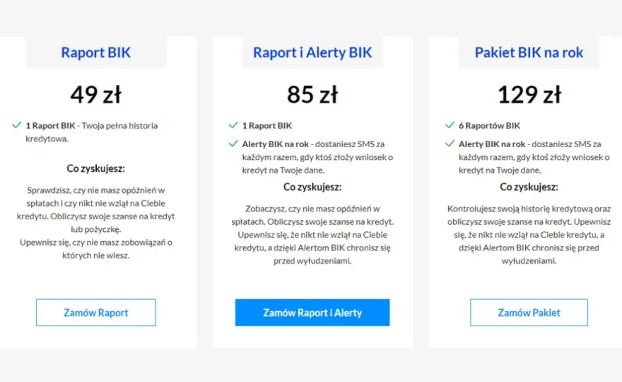 Alerty BIK: Inwestycja w bezpieczeństwo? Czy warto w 2026?