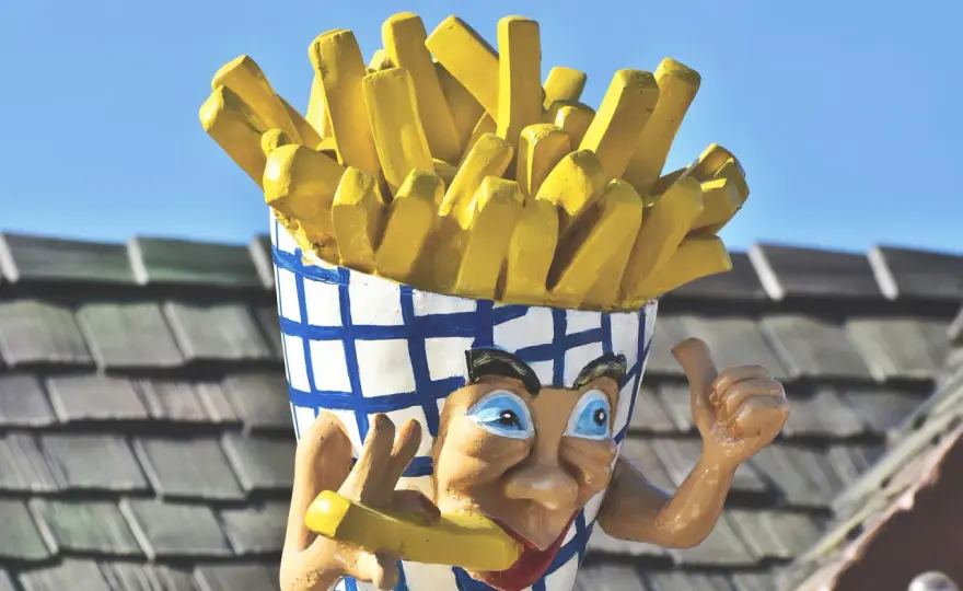Kto wymyślił frytki? Belgia czy Francja? Rozstrzygamy spór!