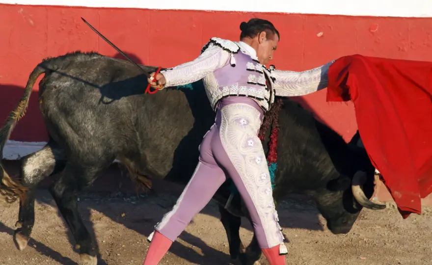 Taleguilla del torero - ¿Qué es y por qué es tan importante?