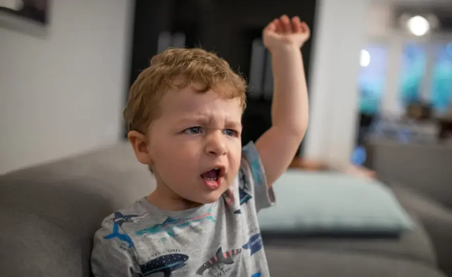 Mi hijo de 3 años pega - Por qué y cómo actuar sin gritos