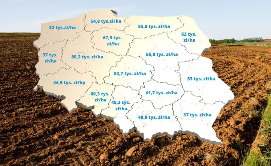Cena hektara ziemi rolnej - Ile kosztuje i jak ocenić wartość?