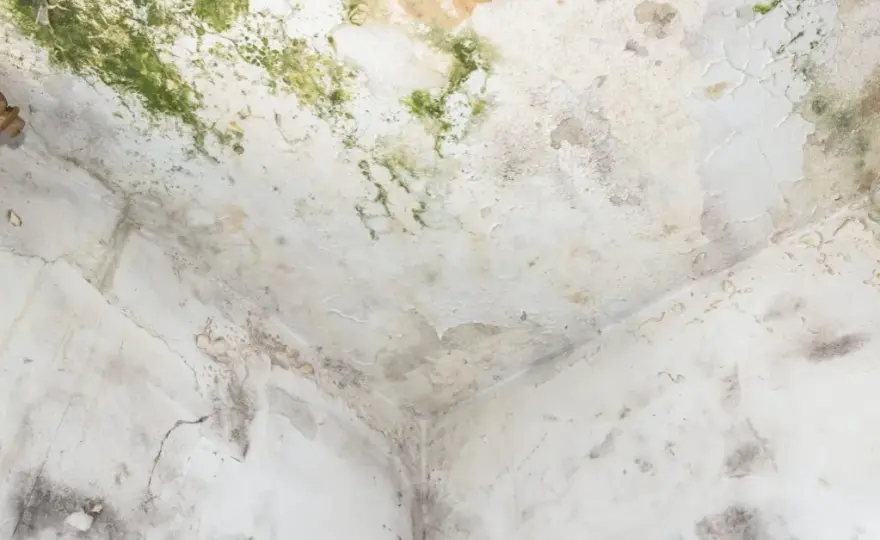 Ile schnie strop po zalaniu? Kluczowe czynniki i metody osuszania