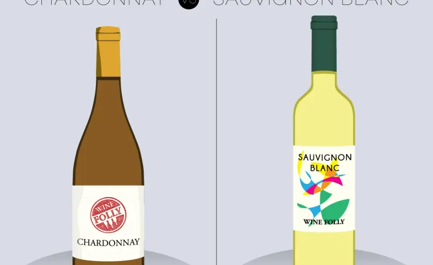 Chardonnay vs Sauvignon Blanc: Kluczowe różnice w aromacie. Odkryj!
