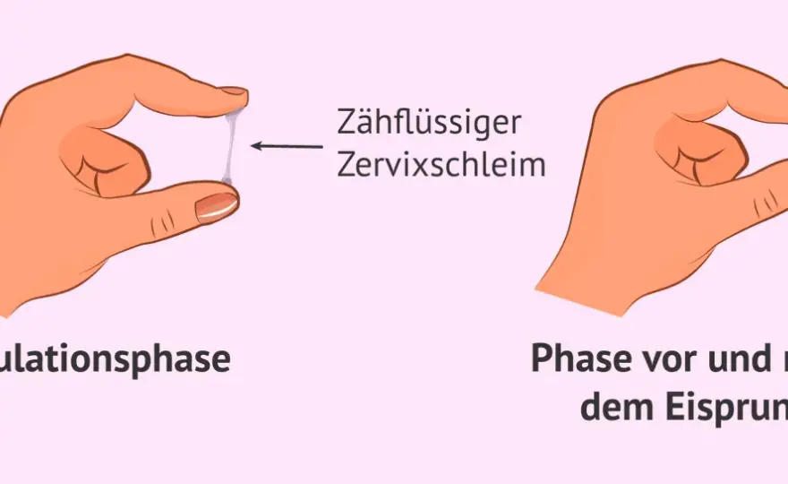 Eisprung Symptome richtig deuten - Warnzeichen erkennen und abklären