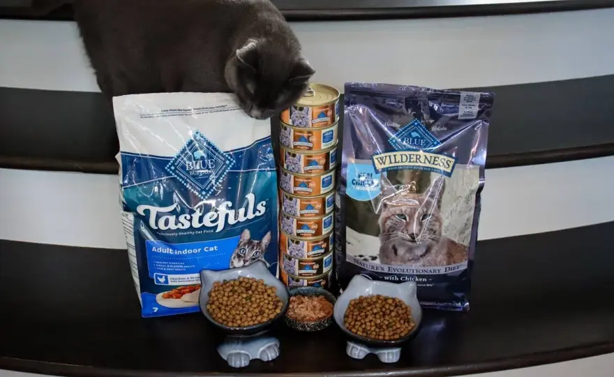 Is Blue Buffalo Good for Cats? The Truth About Formulas