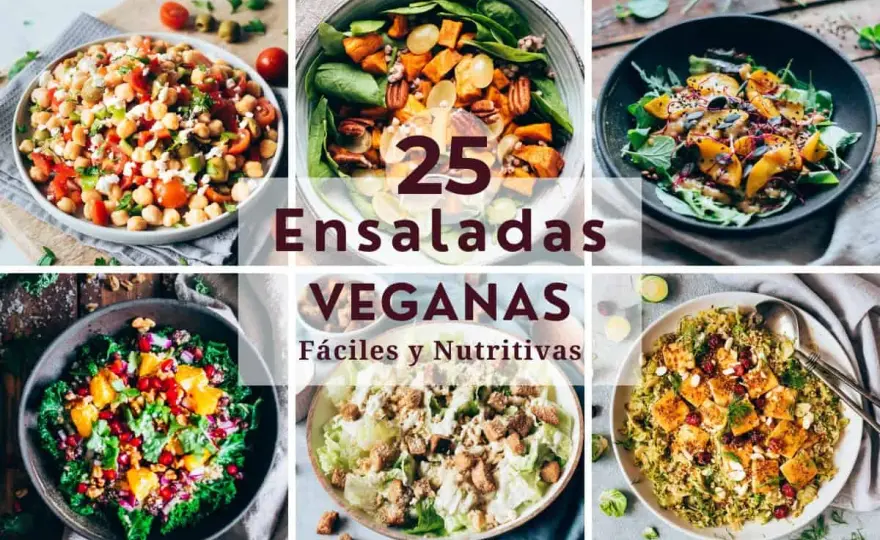Ensaladas veganas - Recetas completas y sabrosas