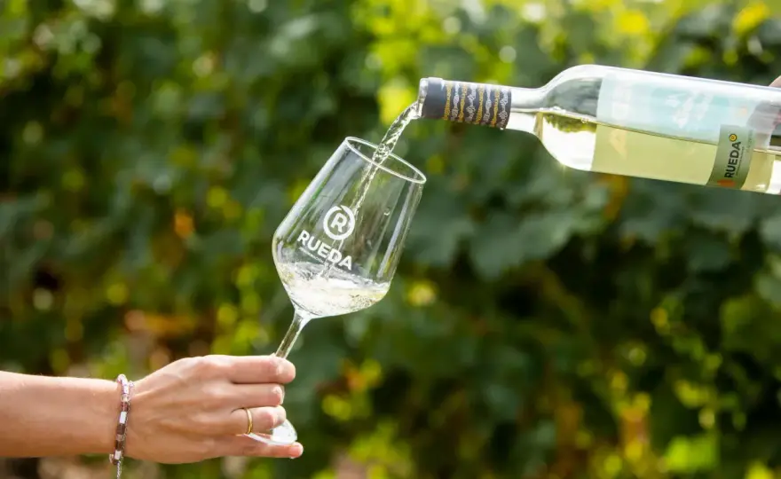 Verdejo Wein - Der Guide: Stile, Speisen & Kauf-Tipps