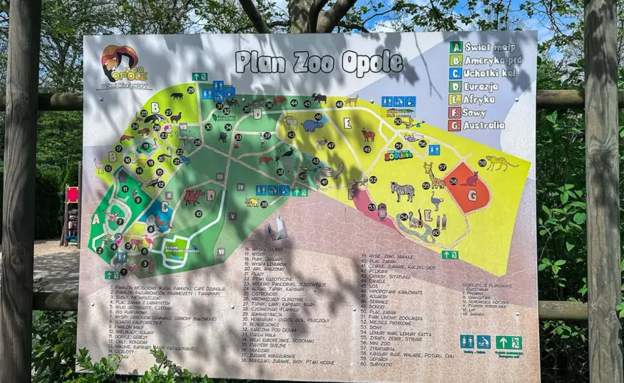 Zoo Opole - Opinie, ceny i plan zwiedzania. Jak zaplanować dzień?