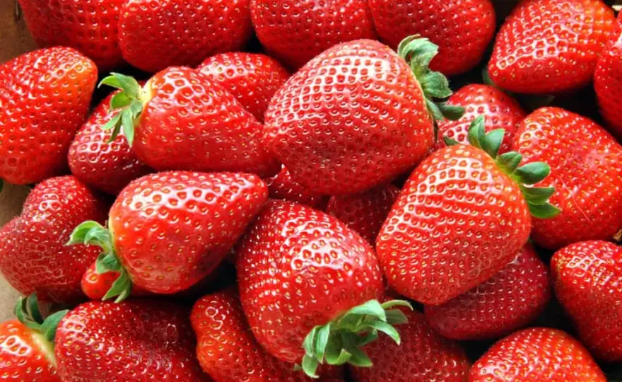 Ile kalorii mają truskawki? Wartość odżywcza i wpływ na dietę w 100 g