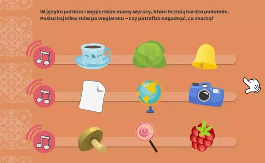 Polska - Węgry: Historia, bilans, emocje. Co warto wiedzieć?