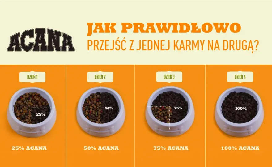Zmiana karmy u psa - Jak bezpiecznie zmienić dietę? Schemat 7 dni