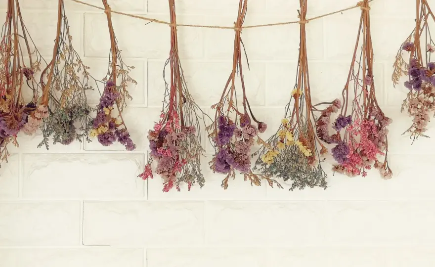Séchage de fleurs au sel - Le guide complet pour des bouquets durables