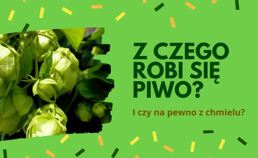 Z czego jest piwo? Poznaj składniki, które kształtują smak piwa