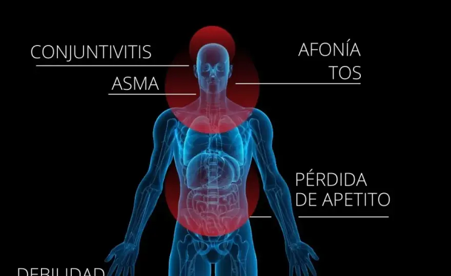 Alergia al polen y respiración - cómo reconocerla y aliviarla