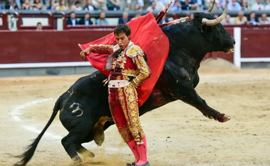 José Garrido: Torero a pie - ¿Por qué no es rejoneador?