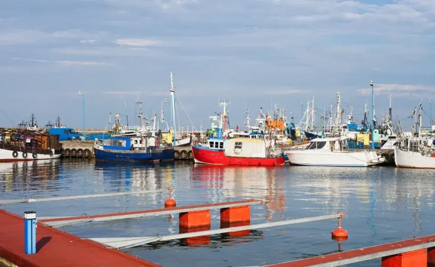 Port we Władysławowie - spacer po działającym porcie i rejsy