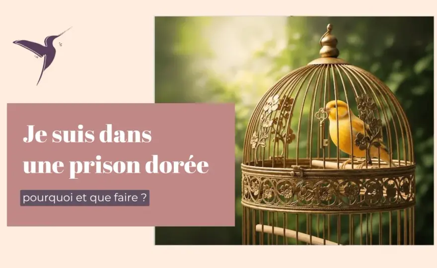 Prison dorée - Comprendre et s'en libérer sans tout casser