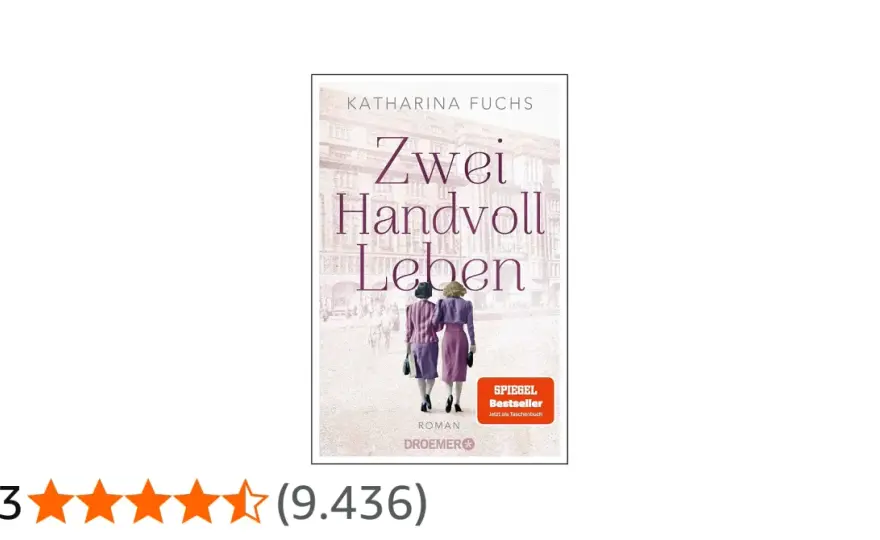 Zwei Handvoll Leben - Inhalt, Aufbau und was den Roman trägt