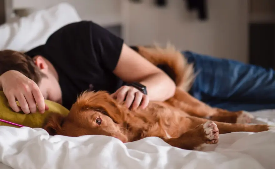 Dog Lays on You - Why & What to Do
