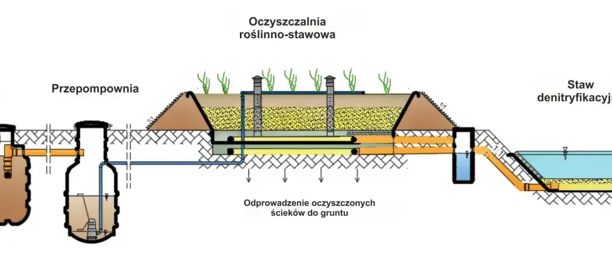 Oczyszczalnia trzcinowa schemat: kompletna budowa systemu biologicznego