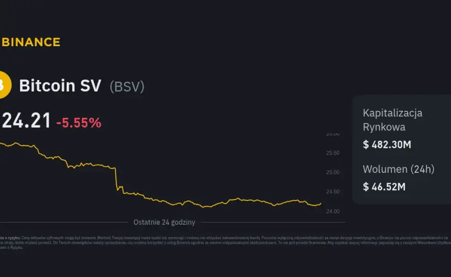 Bitcoin SV: Opinie, Kontrowersje i Analiza Potencjału Inwestycyjnego
