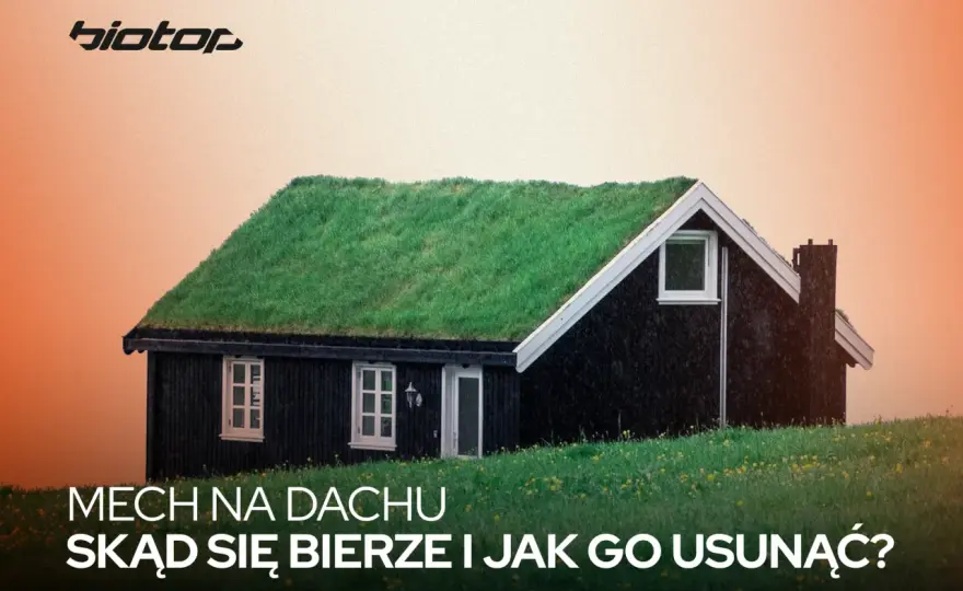 Antymech - jak wybrać i skutecznie usunąć mech z dachu?