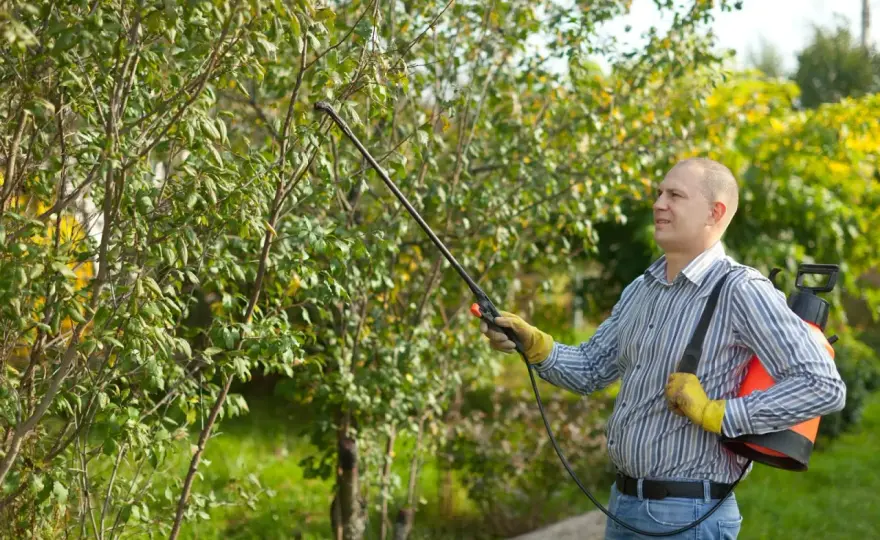 Nordox ou bouillie bordelaise au jardin - lequel choisir ?