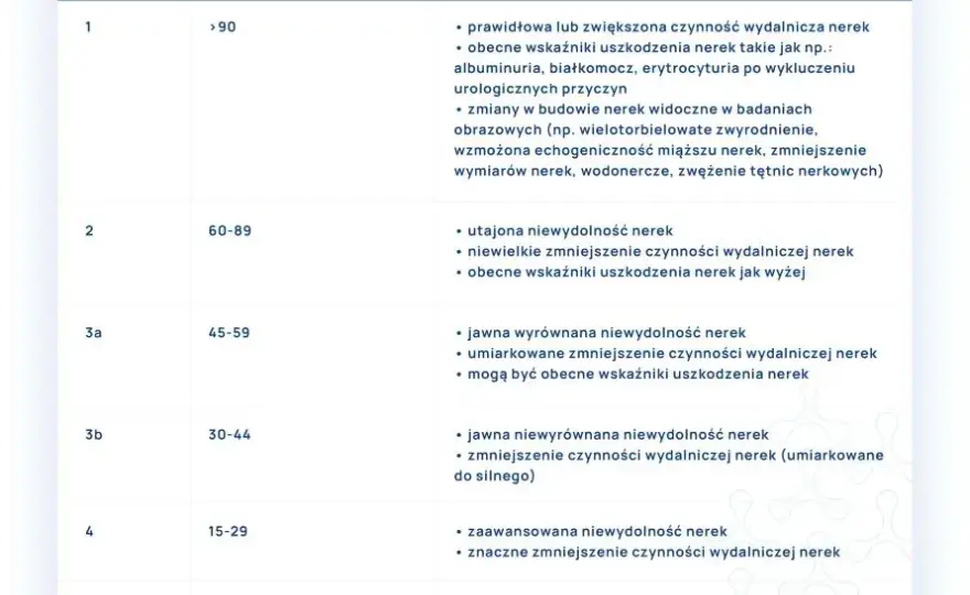 Badanie eGFR – co to jest i dlaczego jest kluczowe dla zdrowia nerek?