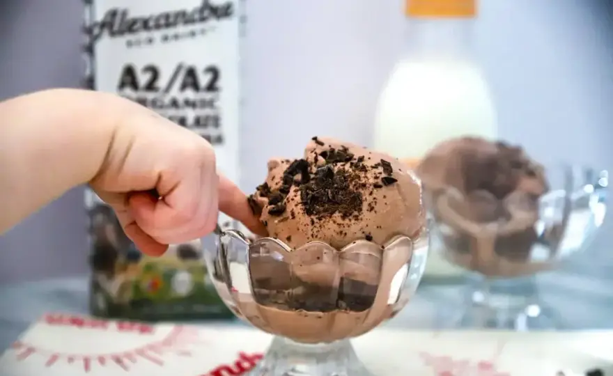Lody z mleka krowiego - jak zrobić kremowy deser bez kryształków