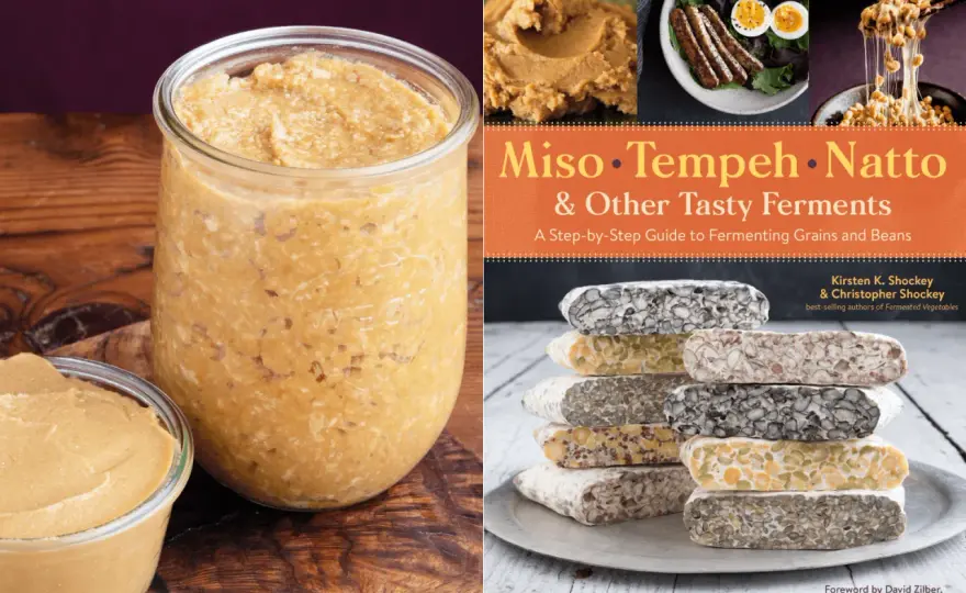 Homemade Miso - Your Guide to Perfect Fermentation