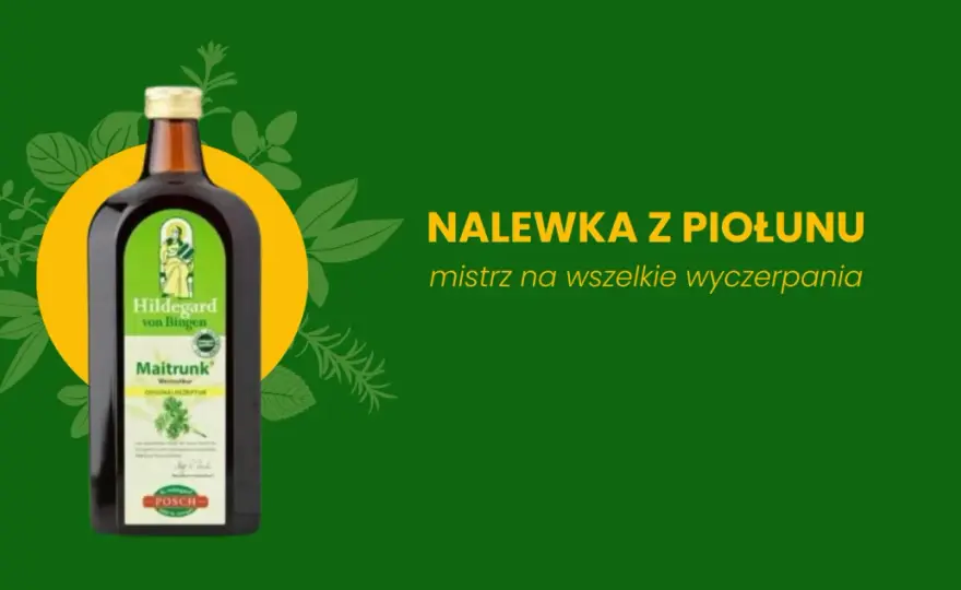 Nalewka z piołunu i miodu - Jak uniknąć zbyt dużej goryczy?