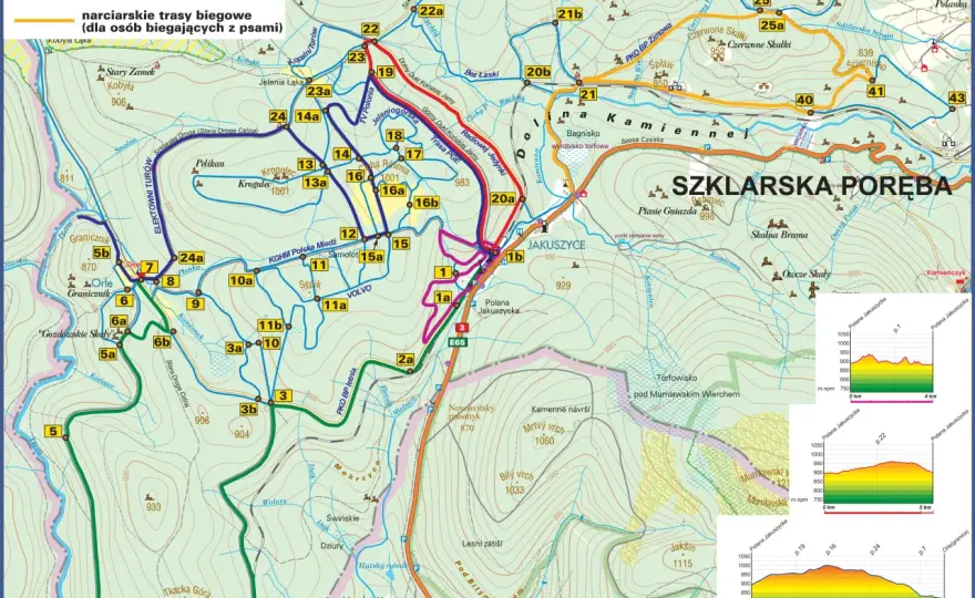 Gdzie na narty biegowe? Najlepsze trasy i miejsca w Polsce i za granicą