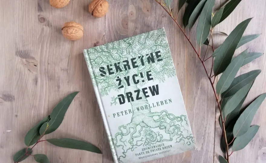 Sekretne życie drzew - recenzja. Czy warto czytać Wohllebena?