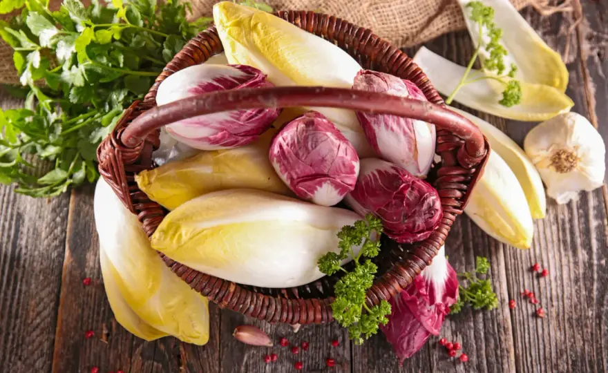 Chicorée roh essen - so wird er mild und knackig
