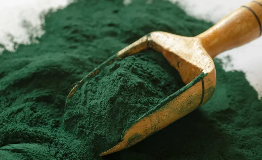 Czy spirulina odchudza? Odkryj, jak może wspierać odchudzanie