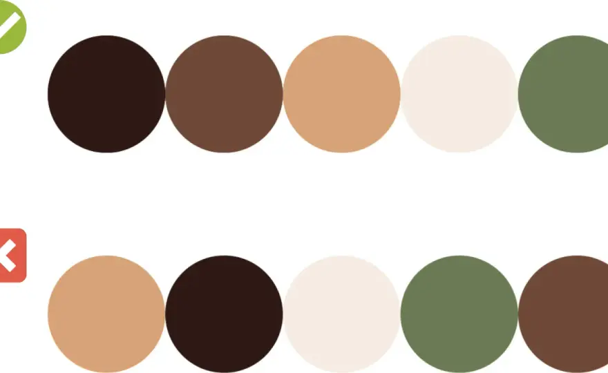 Colori di base - La guida per palette perfette e senza errori