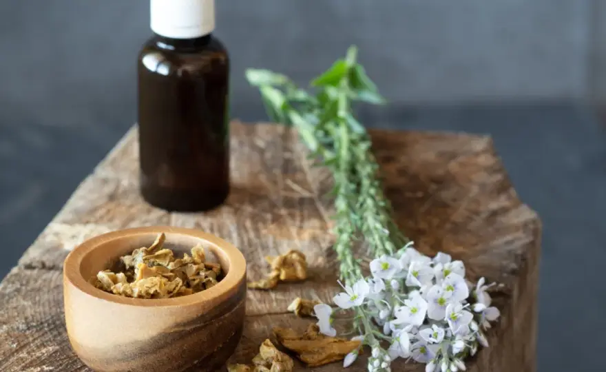 Antibiotico naturale più potente - La verità su miele, aglio e propoli