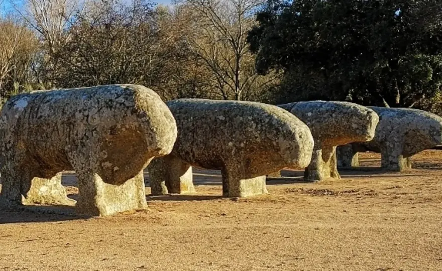 La Guadamilla: historia y clave del toro bravo de Ávila