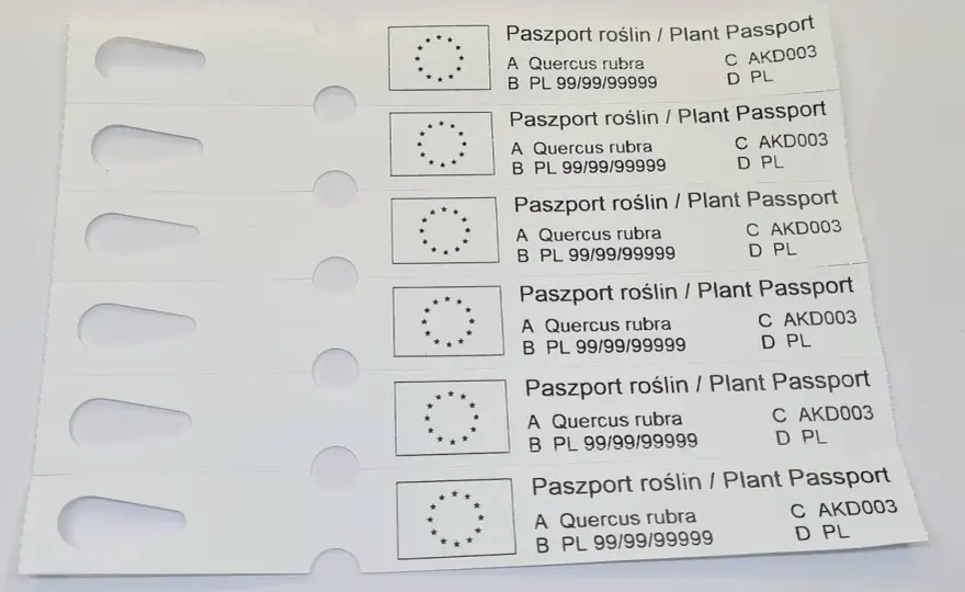 Paszport roślin a podlewanie - Jak czytać etykiety?
