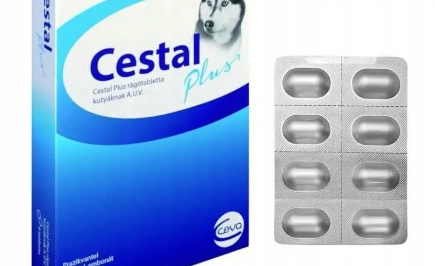 Jak działa tabletka na odrobaczanie psa i co musisz wiedzieć?