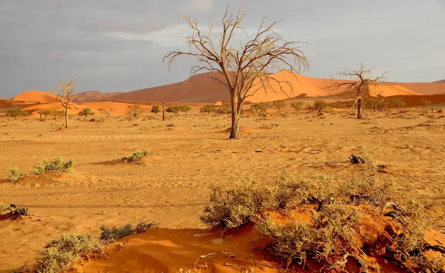Namibia czy jest bezpiecznie? Odkryj zagrożenia i porady dla turystów