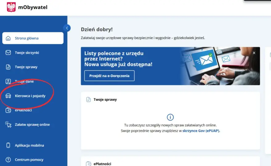 Punkty Karne Online - Jak Sprawdzić i Co Dalej?