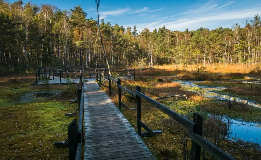 Mazowiecki Park Krajobrazowy - Trasy, rezerwaty, porady