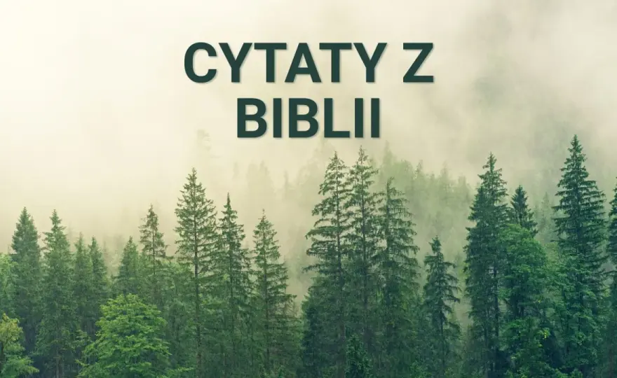Cytaty z Biblii na każdą okazję - jak dobrać właściwy werset