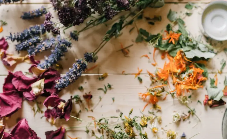 Fleurs séchées à la laque - Le guide pour une tenue parfaite