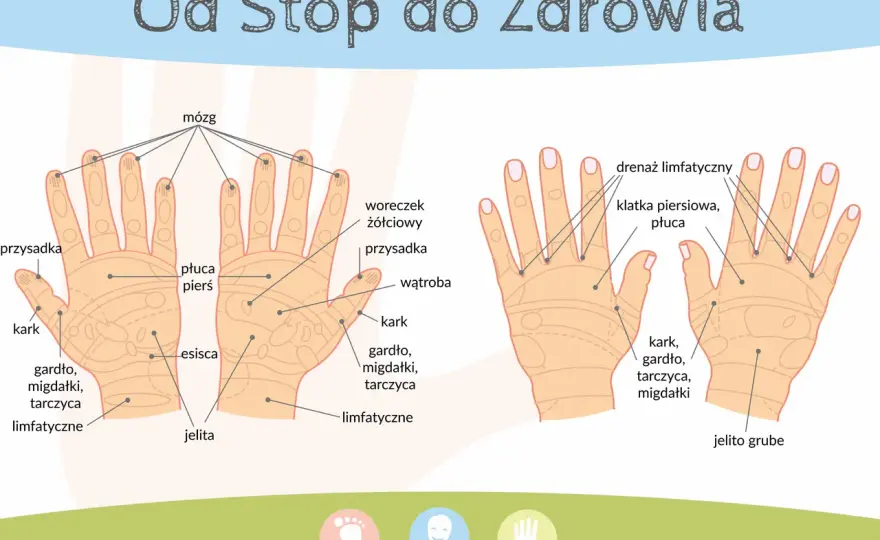 Akupresura dłoni: Mapa punktów na ból, stres i lepszy sen